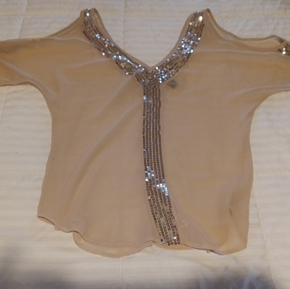 Sheer BKE Boutique Blouse